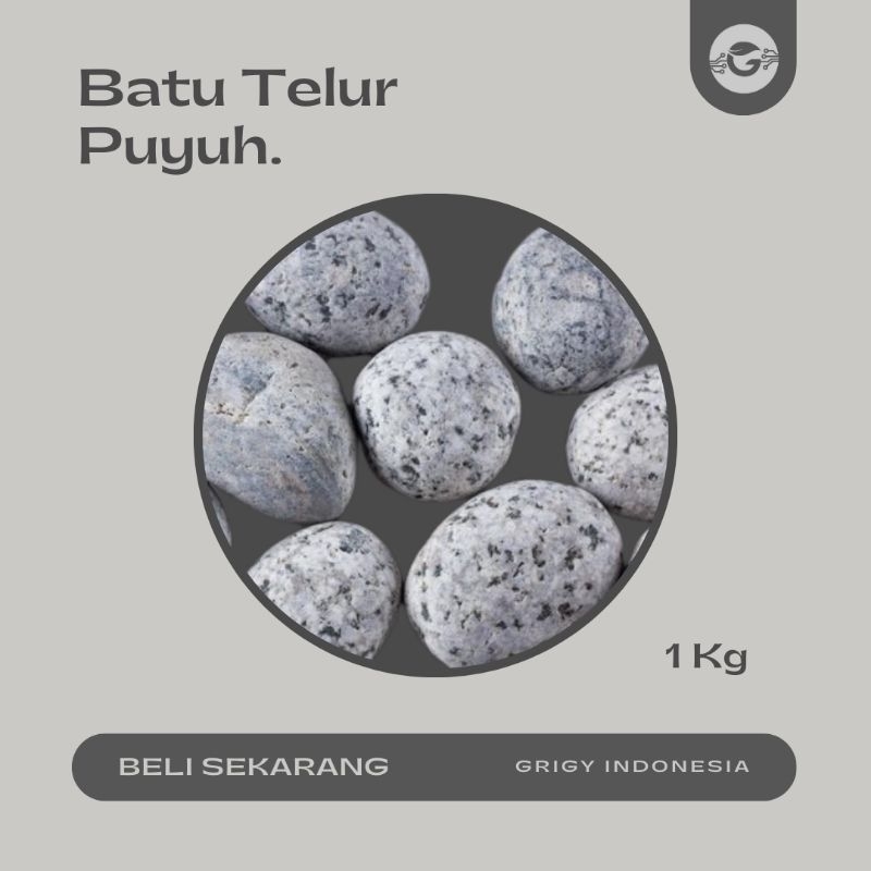 BATU KORAL TELUR PUYUH 1 KG / BATU TAMAN KORAL TELUR PUYUH 1 KG