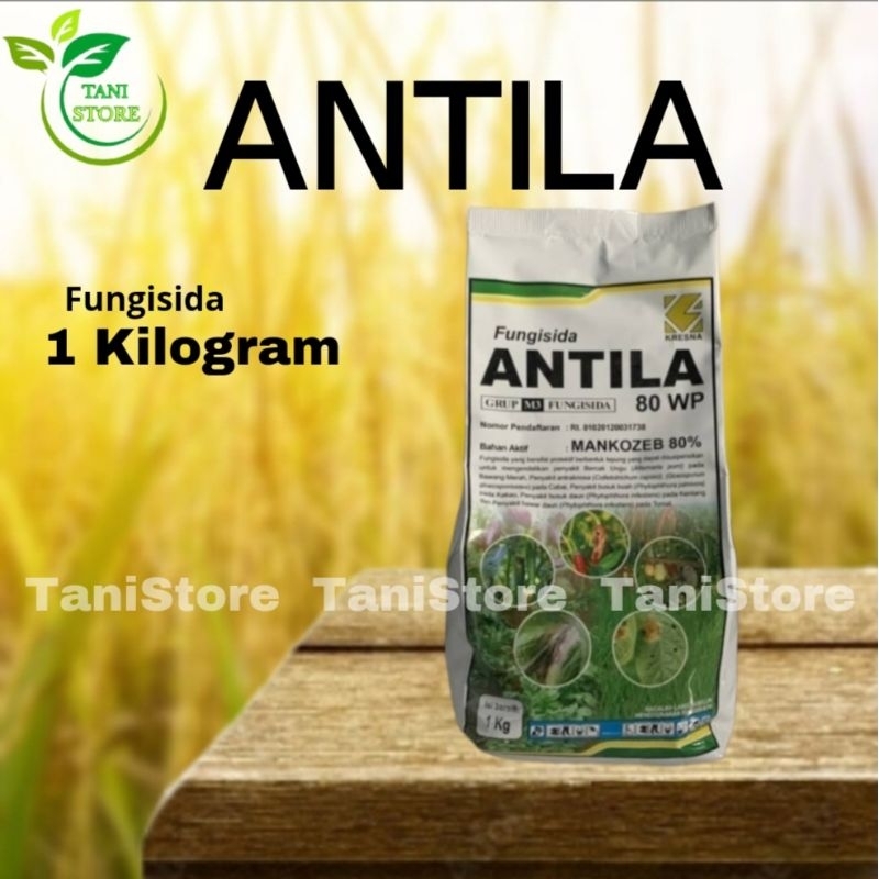 ANTILA 80WP_MANKOZEB 80%_Bercak ungu/Antraknosa/Busuk buah/Busuk daun/Hawar daun_Fungisida