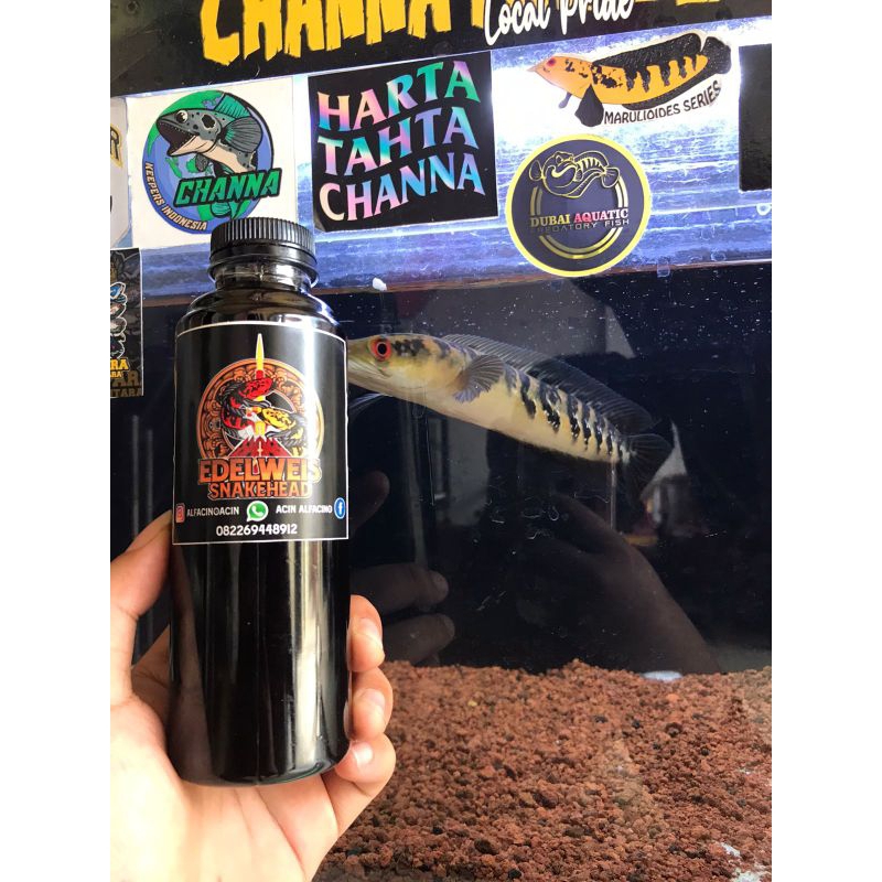 maru ys 20ekol 11-12cm