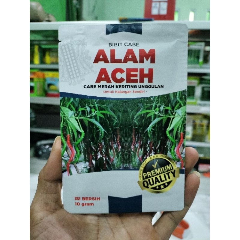 Cabe Alam Aceh 10gr Tahan Virus Lokal Aceh Buah Lebat Mudah Diurus