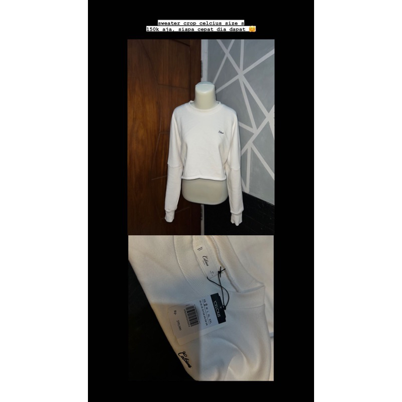 sweater crop celcius