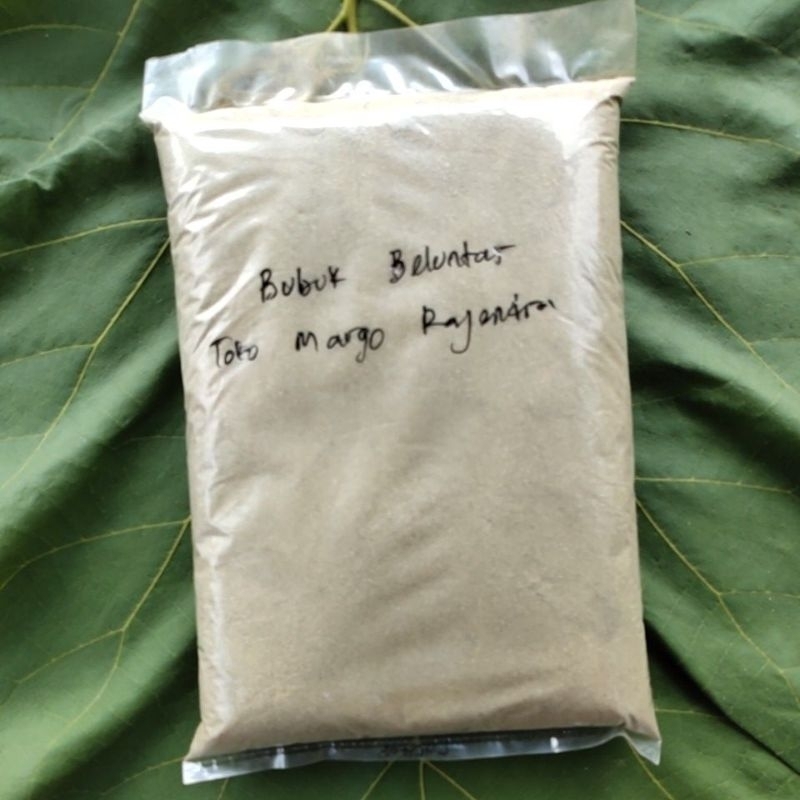 

Bubuk Beluntas Luntas 1kg