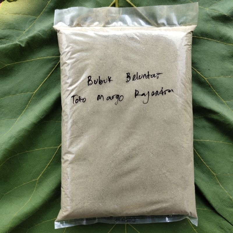 

Bubuk Beluntas Luntas 500 gram