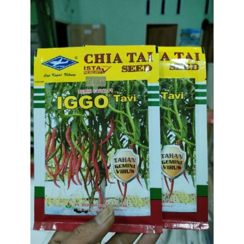 

BENIH CABAI F1 IGGO TAVI 10GR CAP KAPAL TERBANG Original