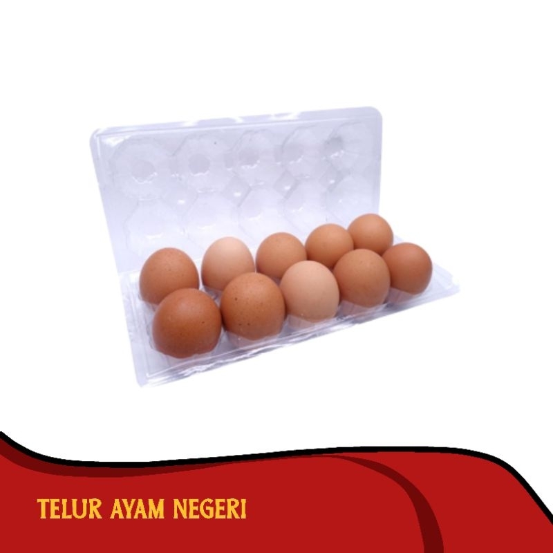

Telur Ayam Negeri