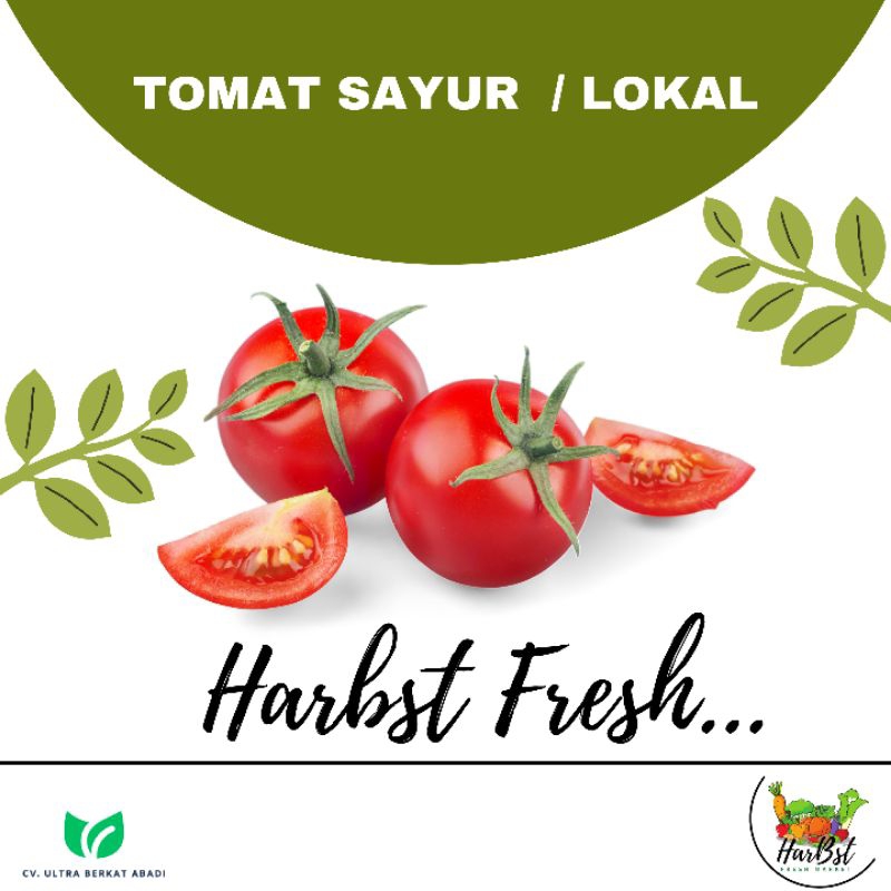 

TOMAT MERAH / Tomat lokal