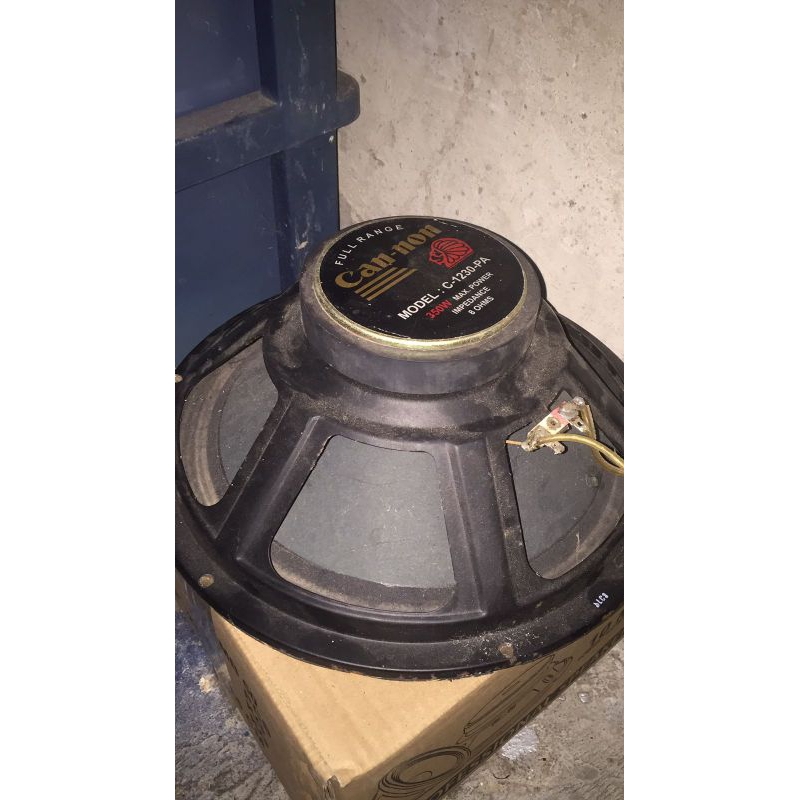 speaker 12inch Canon&acr pro minus harus ganti spul