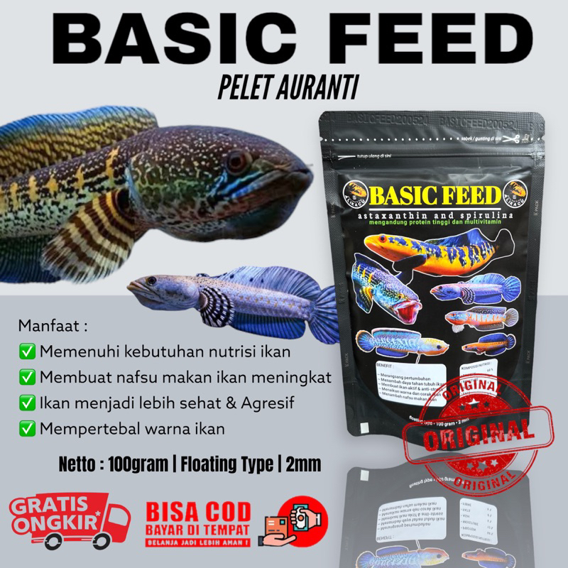 BASIC FEED ALL CHANNA AURANTI | pelet mix ikan channa auranti maru predator | makanan ikan channa au