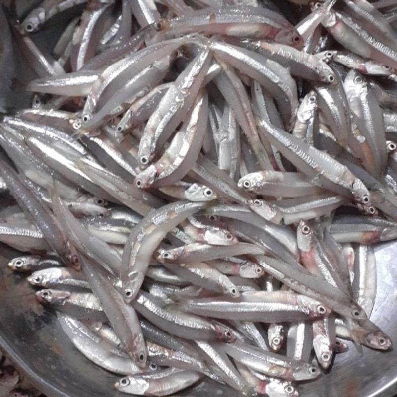 

TERI BASAH 500g