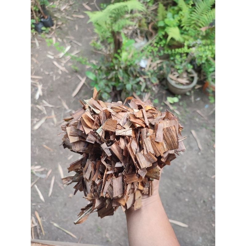 daun bambu cacah + m4/ daun bambu fermentasi