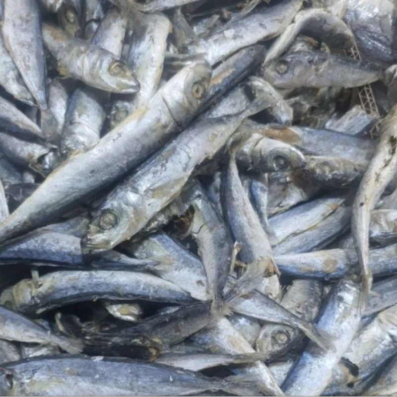 

ikan layang rebus medan tanjung balai 250gram