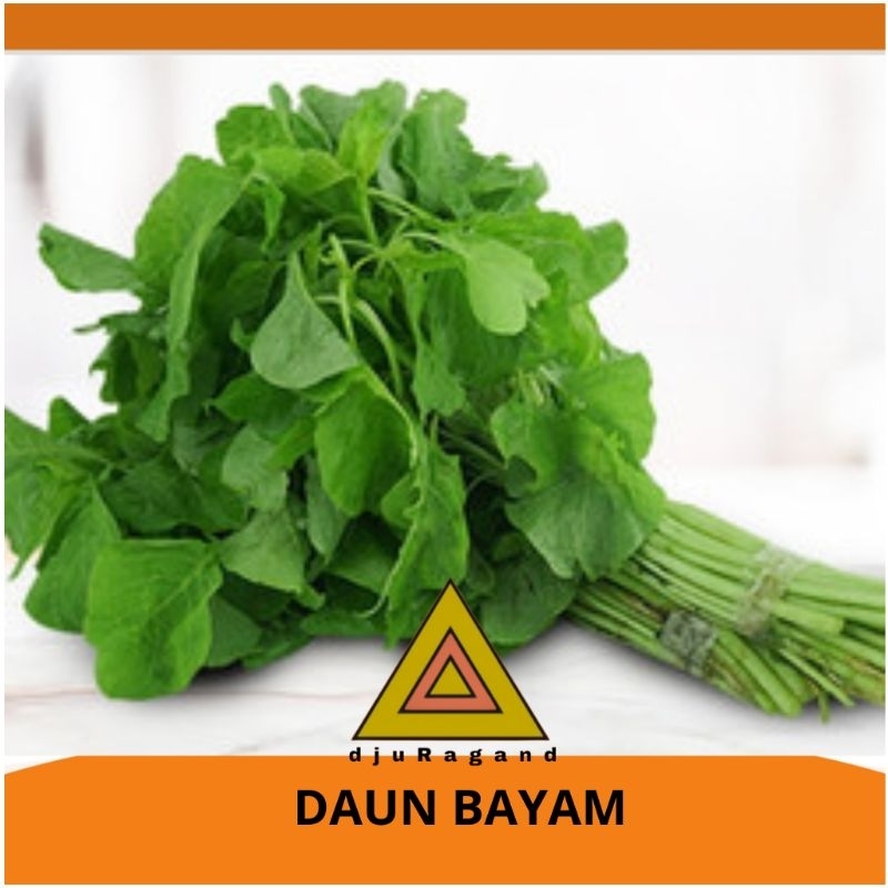 

Bayam hijau per ikat