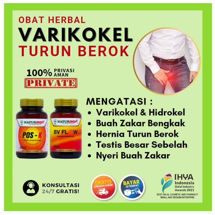 Obat Varikokel Hernia Buah Zakar Bengkak , Mandul Nyeri Testis Turun Berok Obat POS. K, BV FLOW Herb