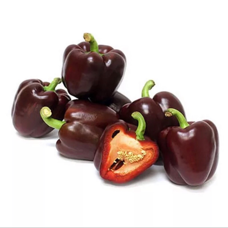 

Sayur Paprika Hitam | Paprika Hitam 400 grm