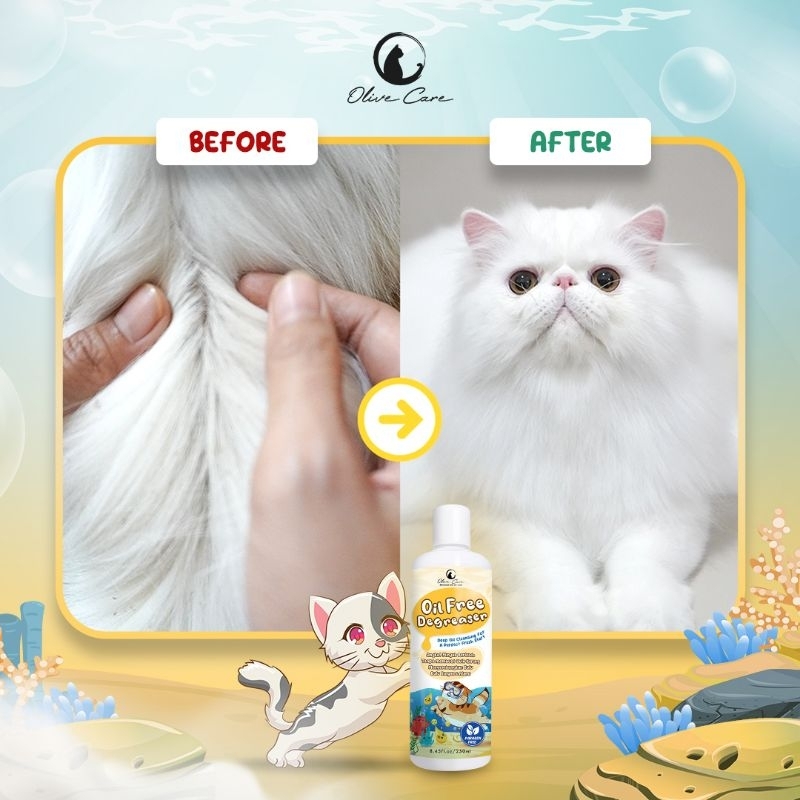 OLIVE CARE SHAMPO KUCING OIL FREE DEGREASER