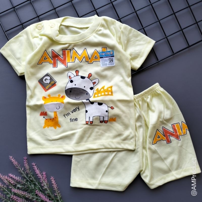 setelan pendek baju celana bayi 3-18 bulan hany