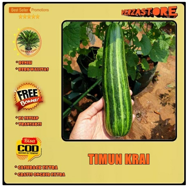 Biji benih tanaman mentimun / timun krai /10 biji