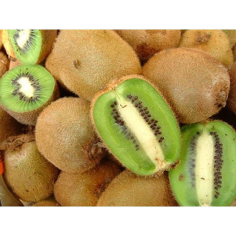 

Kiwi Hijau/Green/500 gr/1 kg