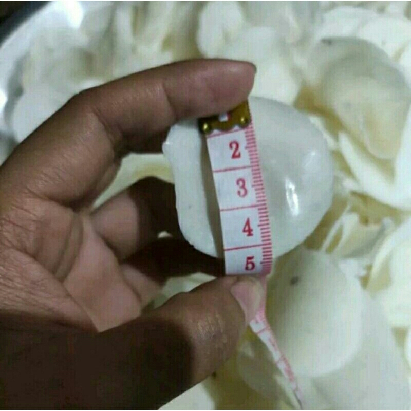 

opak koin khas wonosbo khusus grosir 10kg