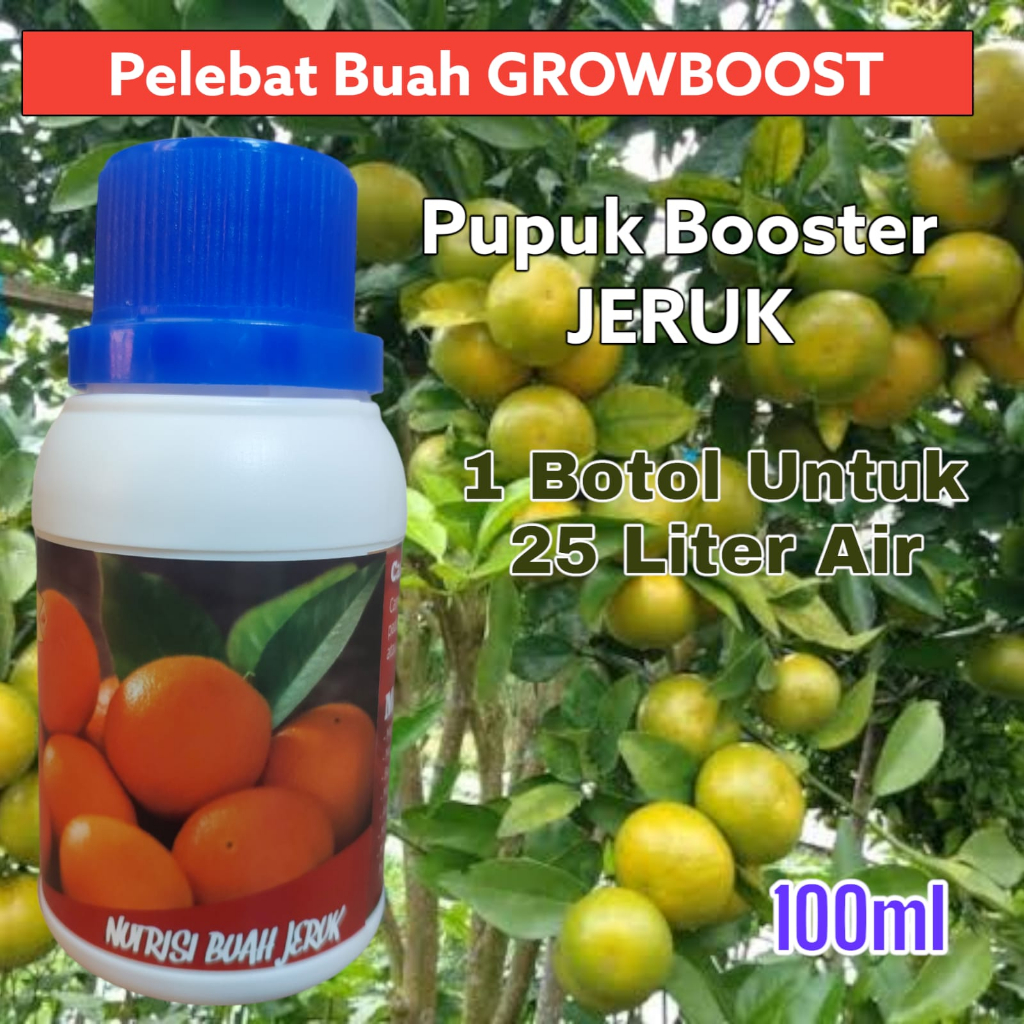 Pupuk Buah Jeruk Premium Organik GrowBoost Buah Jeruk 100ml