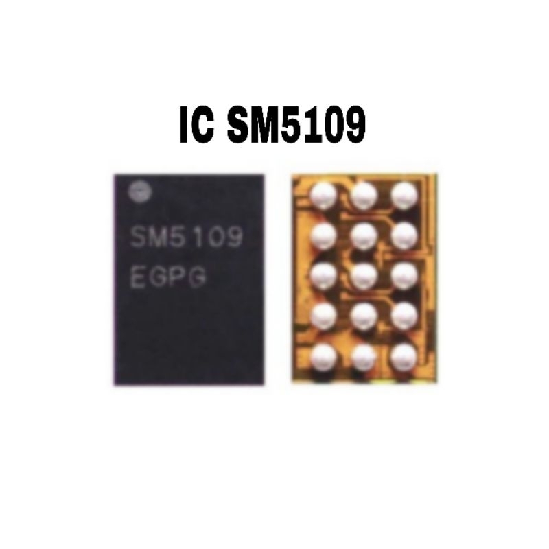 IC DISPLAY SM5109