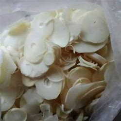 

REBUNG SUDAH DI KUPAS BERSIH DAN DI IRIS PER 500 GRAM/Sayur Segar/Sayur Online