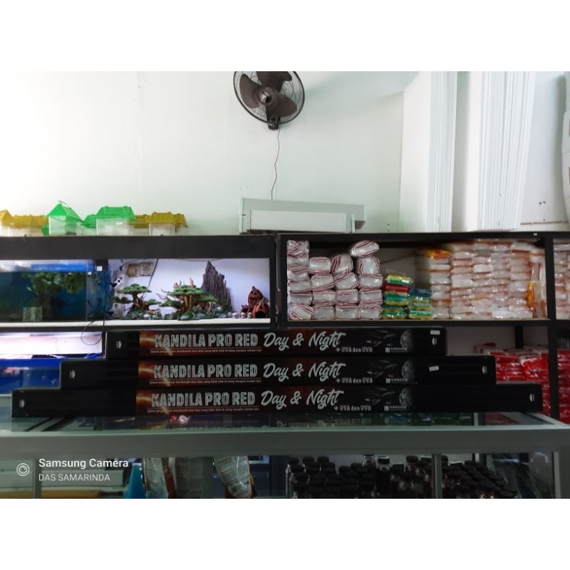 Kandila Pro red Day&Night