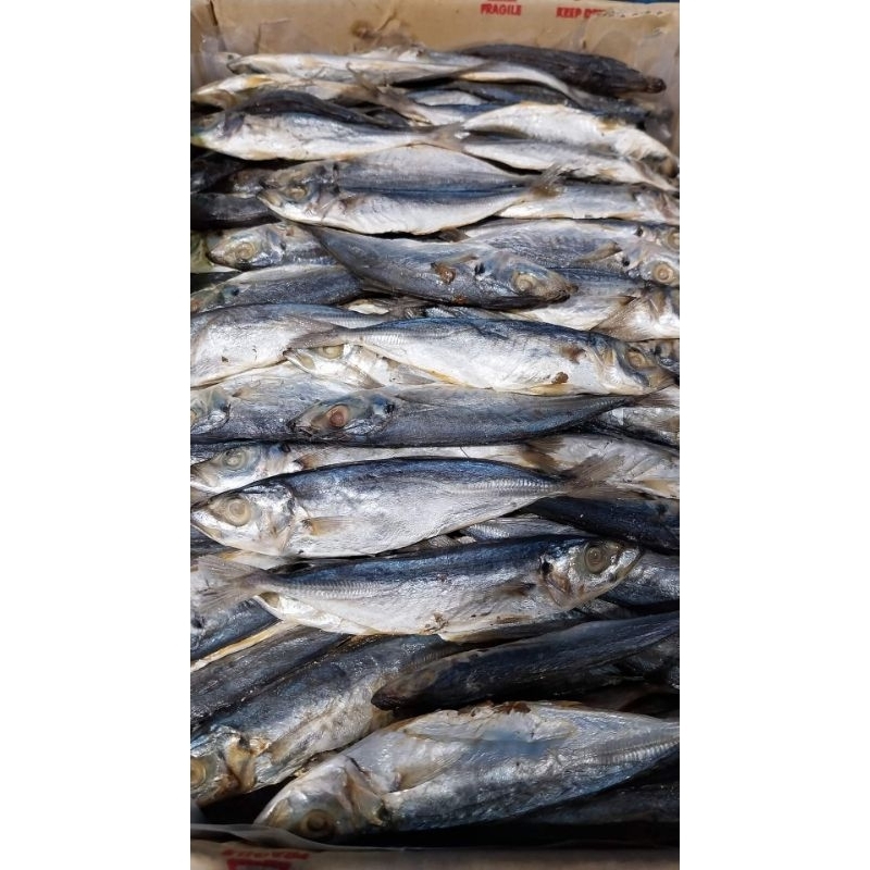 

Ikan Asin Selar