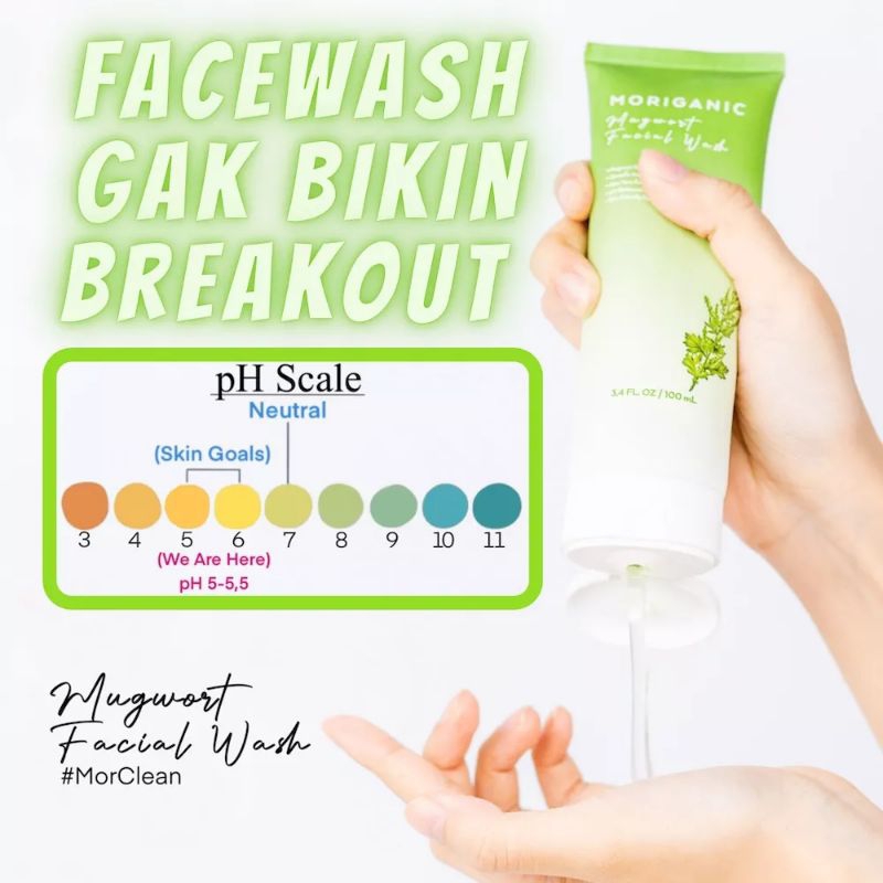 MORIGANIC Mugwort Facial Wash