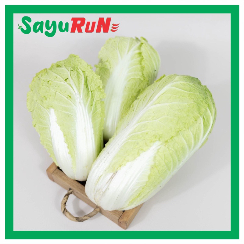 

SAWI PUTIH 600-700gr
