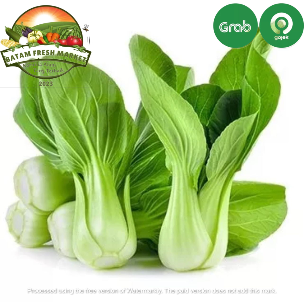 

Sayur Pakcoy Fresh Segar Murah
