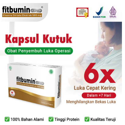 FITBUMIN HARUAN 1BOX @3 STRIP ekstrak albumin ikan gabus fitbumin kapsul