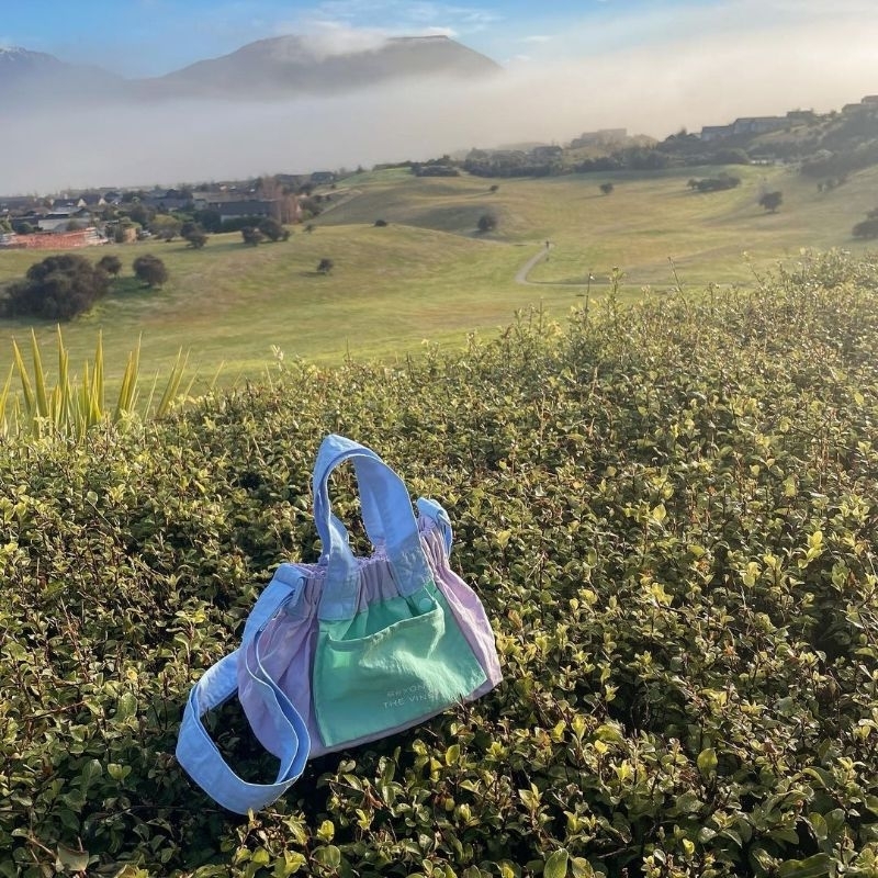 Beyond The Vines BTV Micro Colourblock Limited Edition