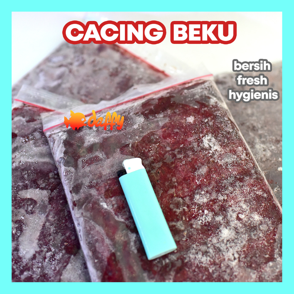 Cacing Beku Premium 1KG / Cabek Premium / Frozen Bloodworm / Cacing Darah
