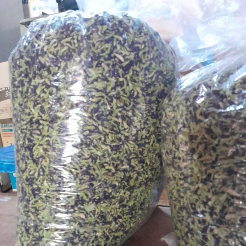 

Bunga telang 1kg