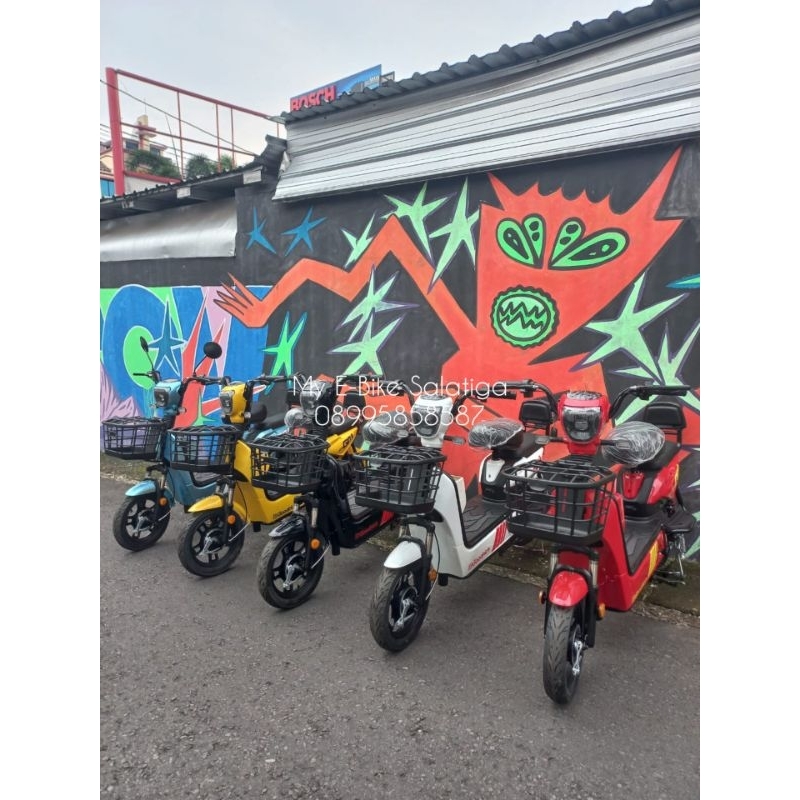 Sepeda Listrik Goodrich GoPro