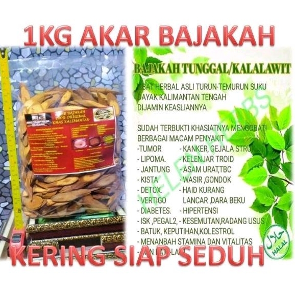 

BAJAKAH KALALAWIT 100% ASLI KALIMANTAN