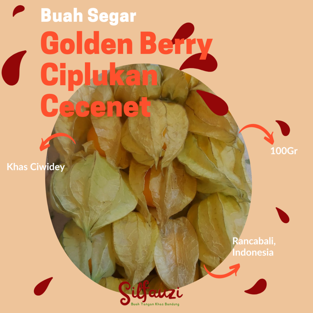 

GOLDEN BERRY CIPLUKAN CECENENT 100 GR
