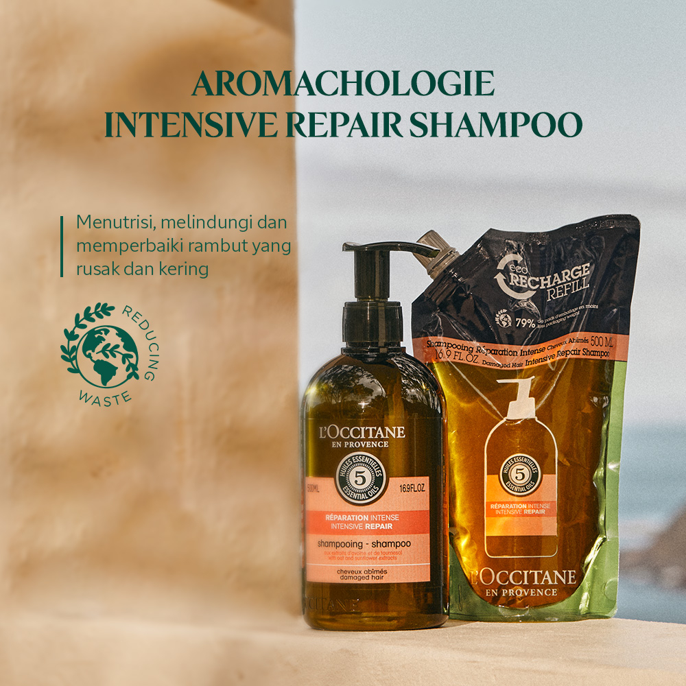 L'Occitane Online Value Set - Aromachologie Intensive Repair Shampoo - Sampo Rambut