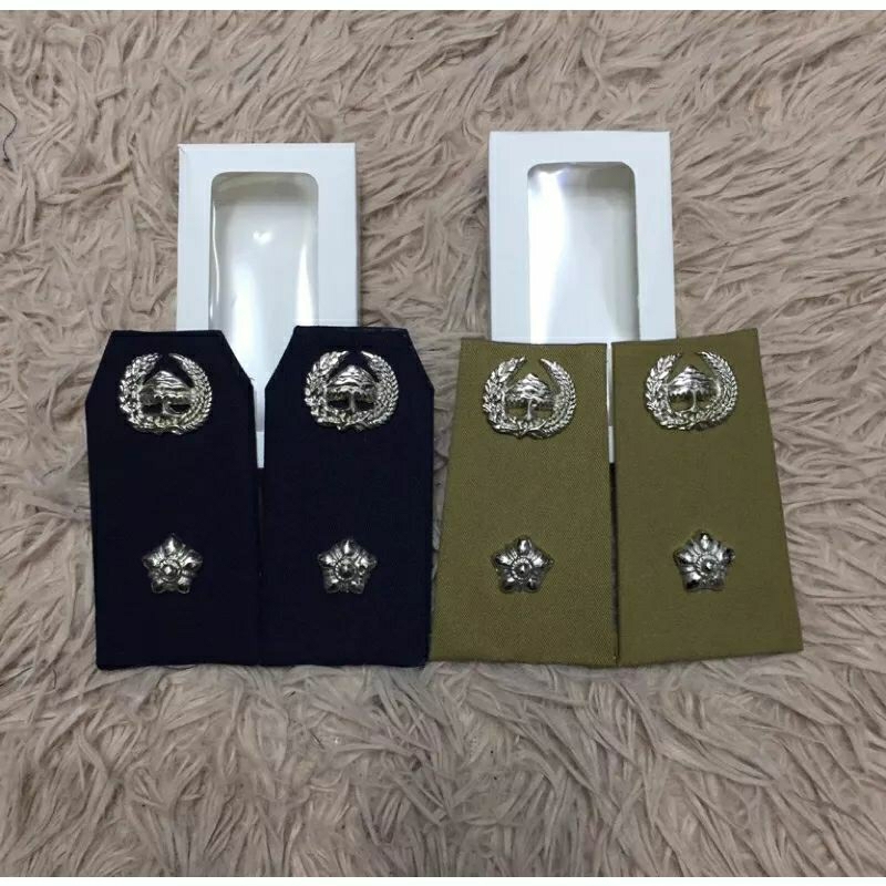 pangkat lurah PDH/PDU/kades/pangkat kades/lurah