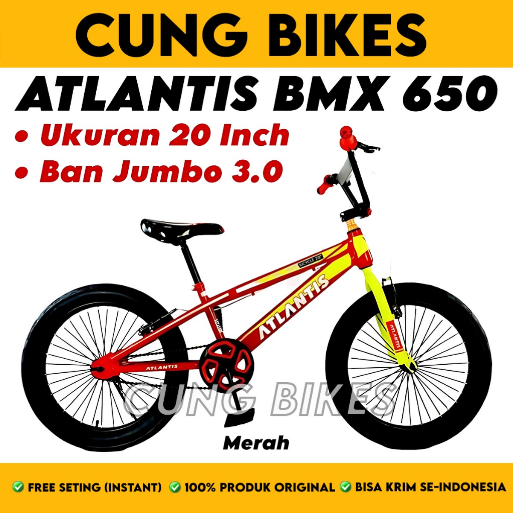 Sepeda Anak Laki BMX ATLANTIS 650 Ukuran 20 Inch Ban Jumbo 3.0