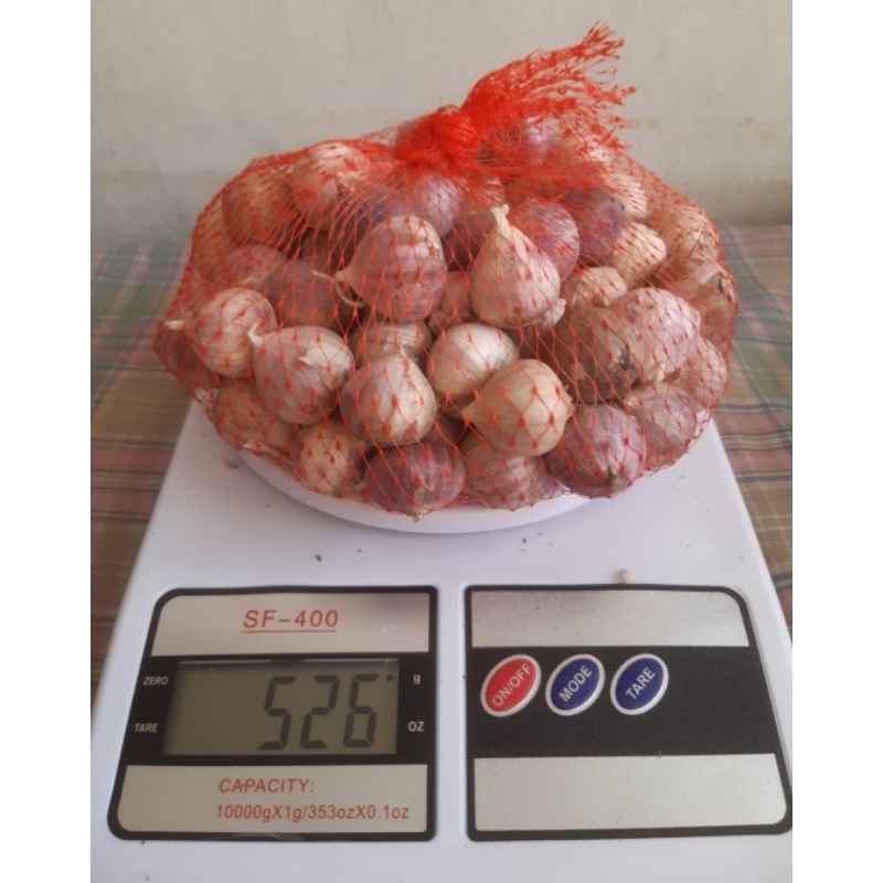 

bawang putih tunggal , bawang lanang besar 250 gr, 500 gr