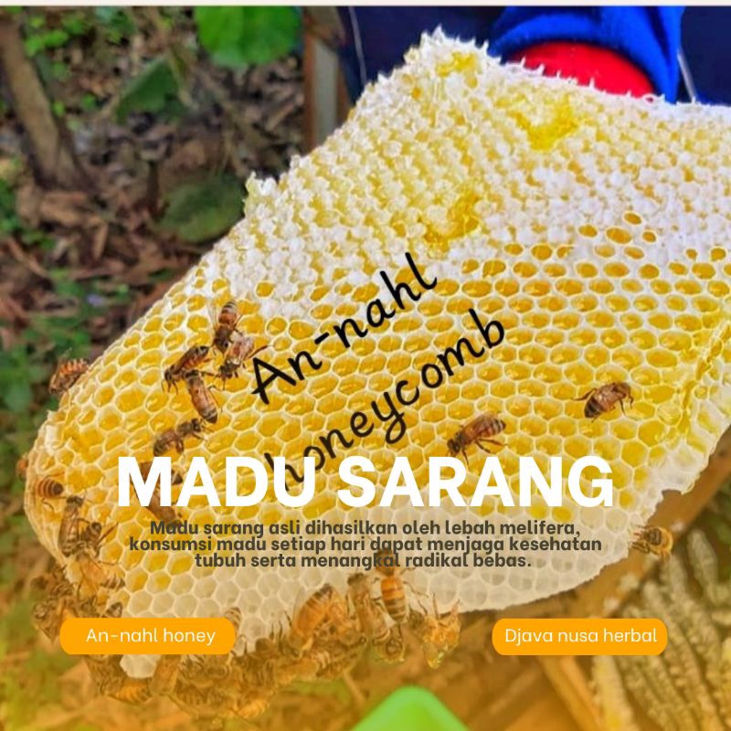 

Madu sarang asli 250gr madu asli madu murni