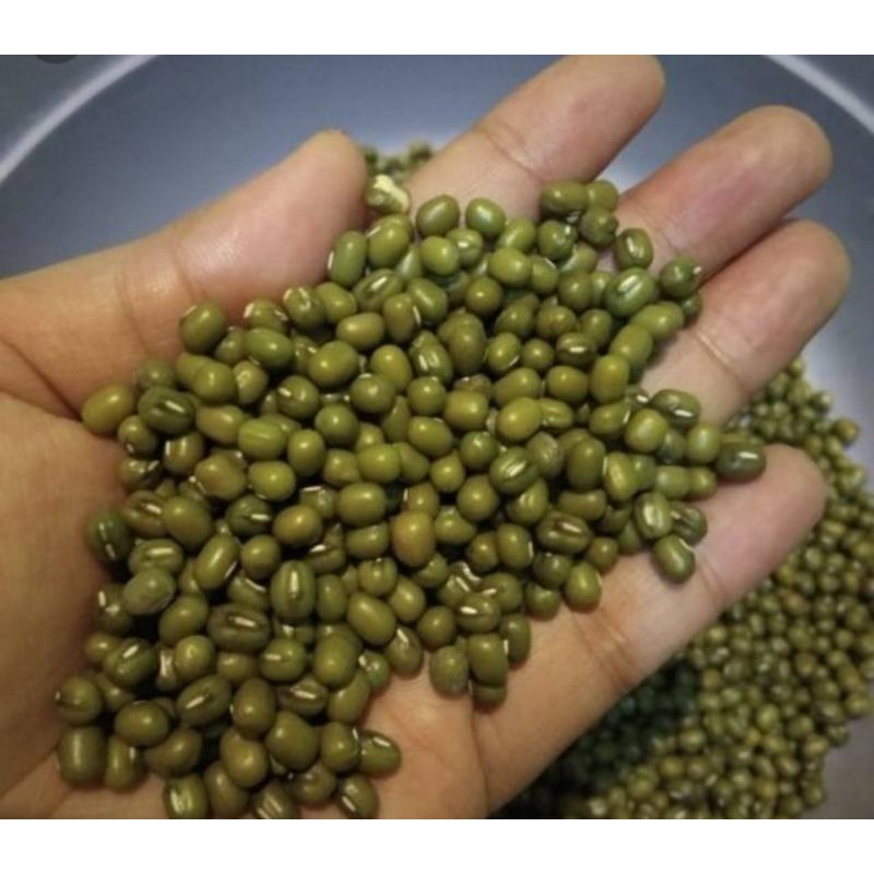 

Kacag Hijau Lokal Berkualitas/Kacang Hijau Kemasan 250 gr-1kg