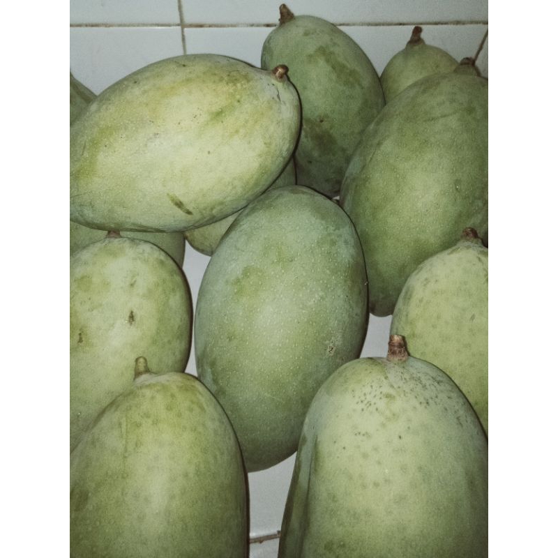 

mangga