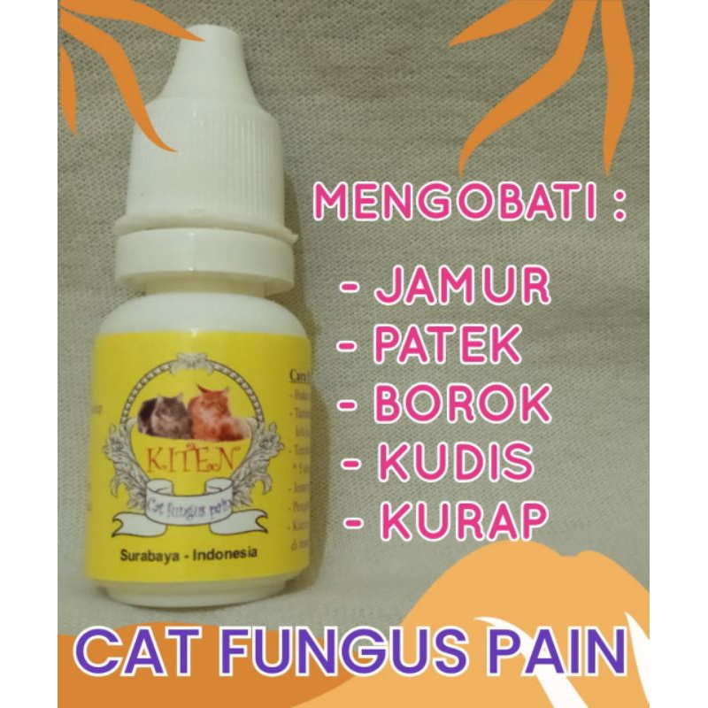 obat jamur kulit scabies untuk kucing