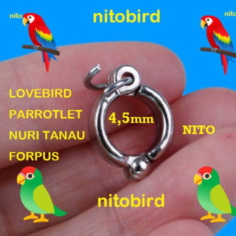 ring borgol 4,5mm lovebird parrotlet nuri tanau forpus 0,45cm kuat aman ring borgol kaki burung parr