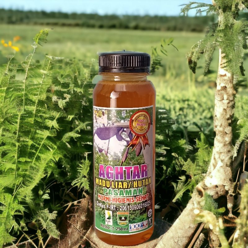 

Madu Lebah Hutan Asli 250 ml