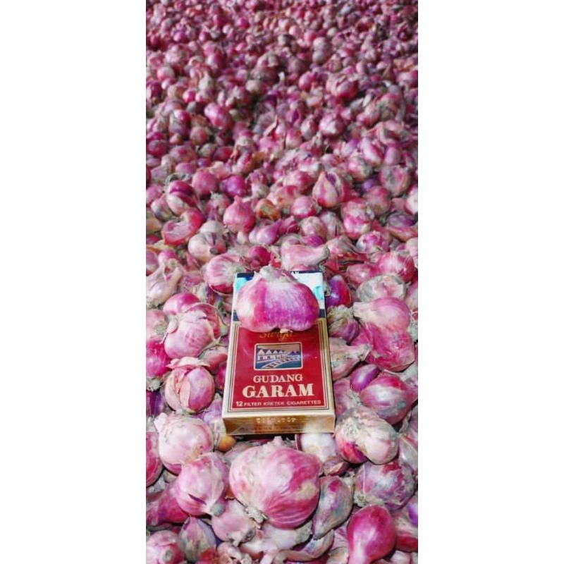 

Bawang Merah lokal Probolinggo murah kemasan 1kg
