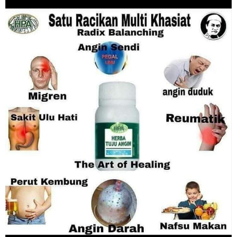 HTA Herba Tujuh Angin/HTA, HPA